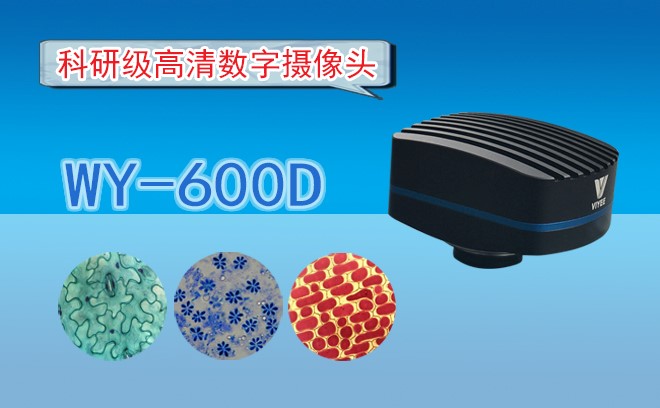 高清CCD91短视频在线视频WY-600D