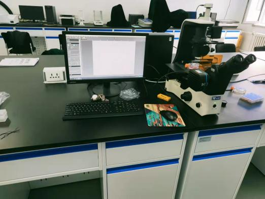 哈尔滨商业大学购入天津91短视频网站免费看光电三目倒置荧光显微成像系统