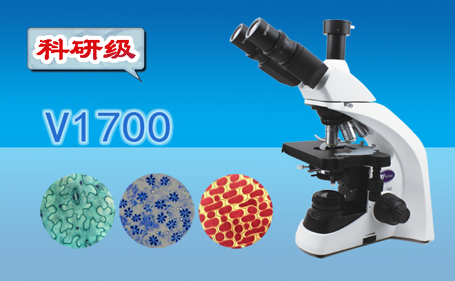 生物91短视频成人内容APP下载.png 生物91短视频成人内容APP下载.png