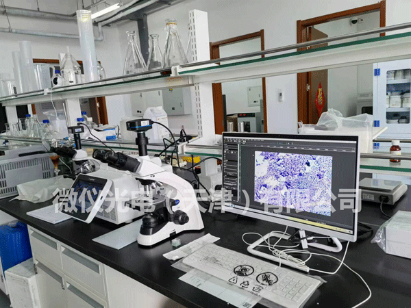 百葵锐（天津）生物科技有限公司采购我公司生物91短视频成人内容APP下载