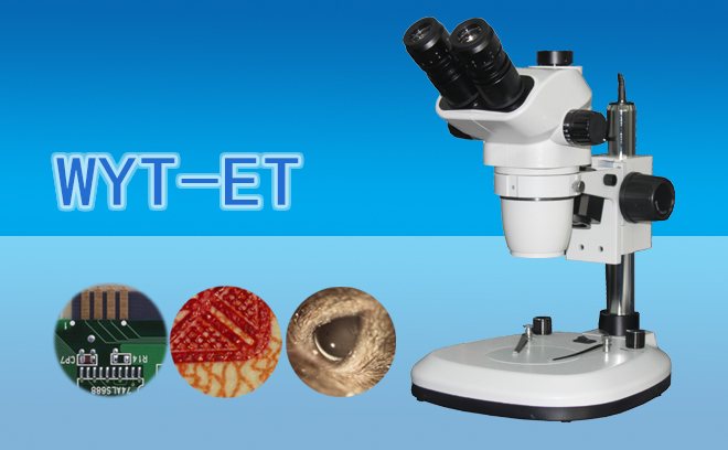 体视91短视频成人内容APP下载.jpg