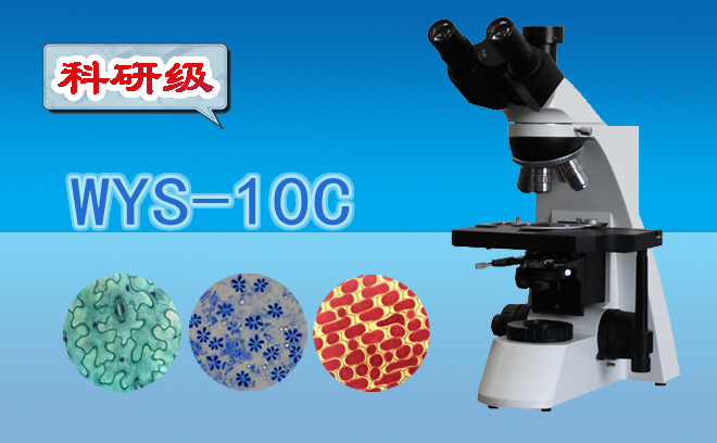 1669775192325819.jpg 生物91短视频成人内容APP下载.jpg