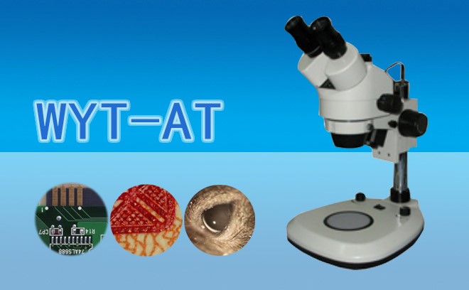 体视91短视频成人内容APP下载.jpg